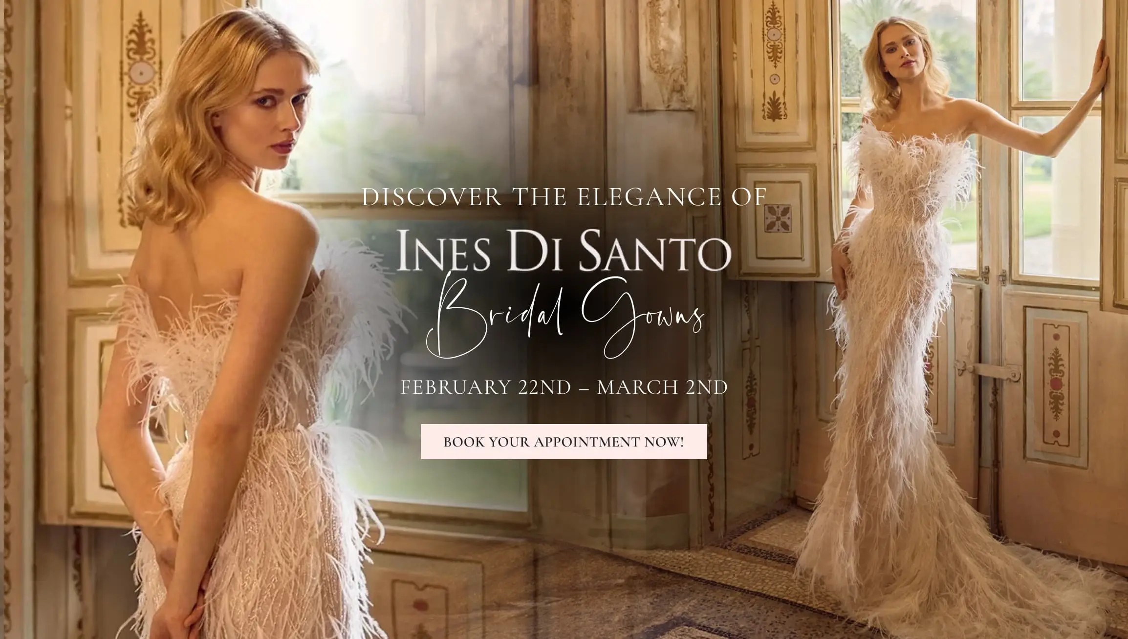 Ines Di Santo Banner Desktop